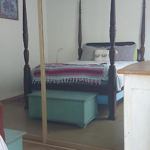 Ocean Front Vortex Female Hostel Private Rooms Free Bikes